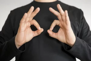 traducir la lengua de signos