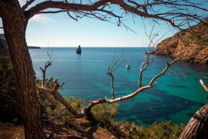 Explorando los idiomas más traducidos en Ibiza