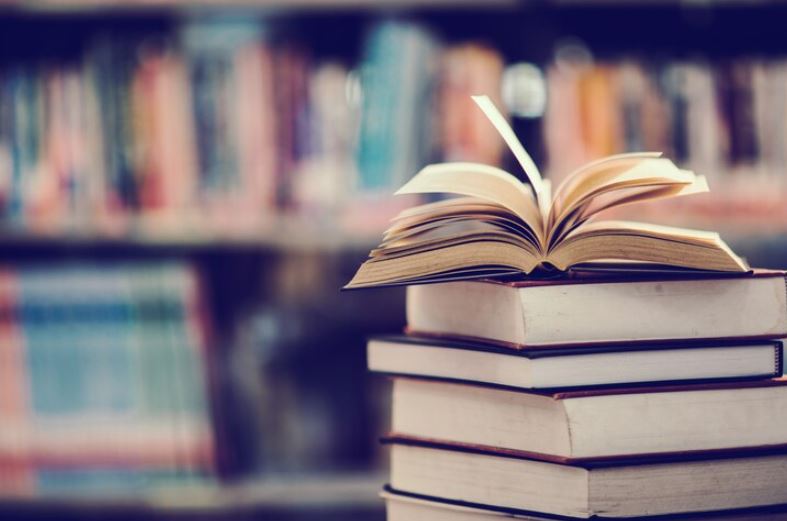 ¿Quién fue Thomas Pynchon? - Traducción Ibiza